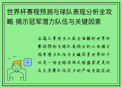 世界杯赛程预测与球队表现分析全攻略 揭示冠军潜力队伍与关键因素